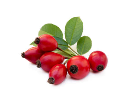Ripe rose hip isolated on white backgroundの写真素材
