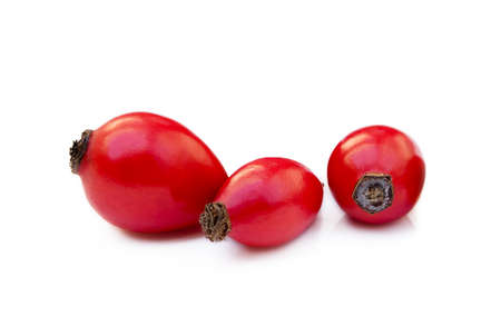 Ripe rose hip isolated on white backgroundの写真素材