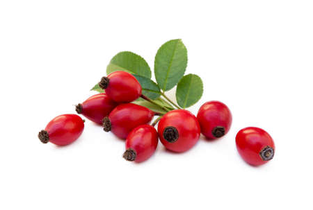 Ripe rose hip isolated on white backgroundの写真素材