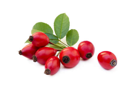 Ripe rose hip isolated on white backgroundの写真素材