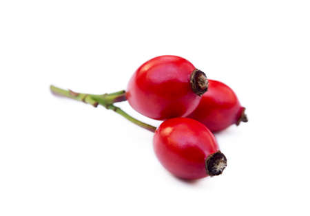 Ripe rose hip isolated on white backgroundの写真素材