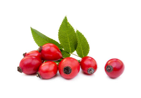 Ripe rose hip isolated on white backgroundの写真素材