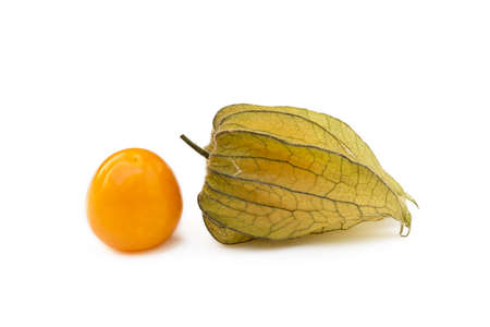 Healthy Cape Gooseberry (Physalis) isolated on white backgroundの写真素材