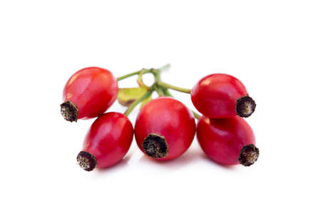 Ripe rose hip isolated on white backgroundの写真素材