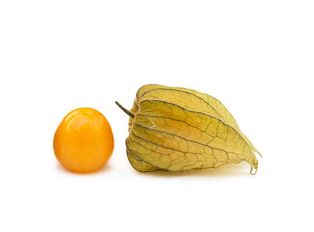 Healthy Cape Gooseberry (Physalis) isolated on white backgroundの写真素材