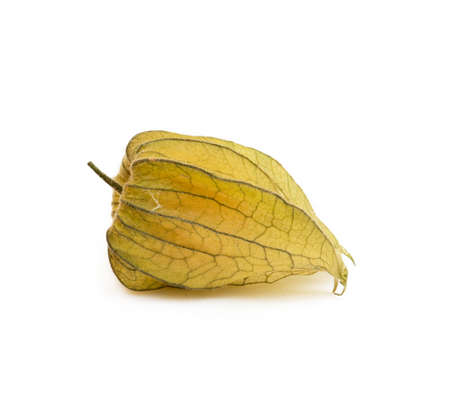 Healthy Cape Gooseberry (Physalis) isolated on white backgroundの写真素材