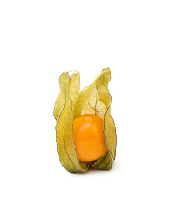 Healthy Cape Gooseberry (Physalis) isolated on white backgroundの写真素材