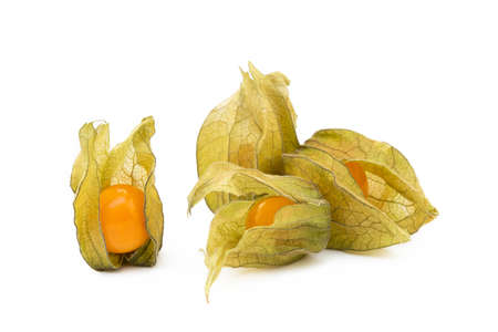 Healthy Cape Gooseberry (Physalis) isolated on white backgroundの写真素材