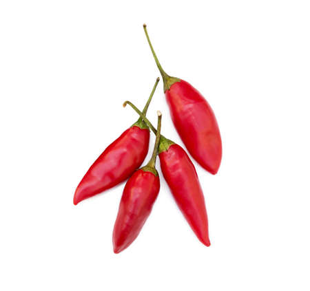 Red hot peppers isolated on white backgroundの写真素材