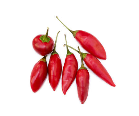 Red hot peppers isolated on white backgroundの写真素材