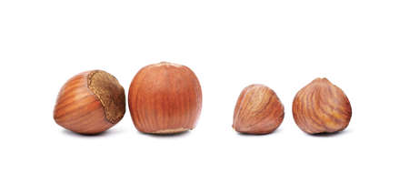 Group of healty hazelnuts isolated on white backgroundの写真素材