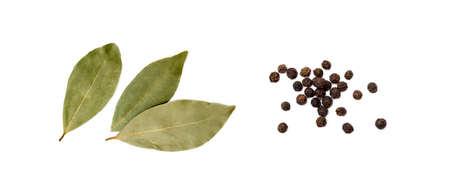 Dried bay leaf and pepper isolated on white backgroundの写真素材