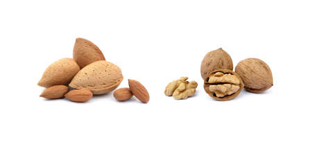 Heap of almonds in shells and pecan nuts isolated on white backgroundの写真素材