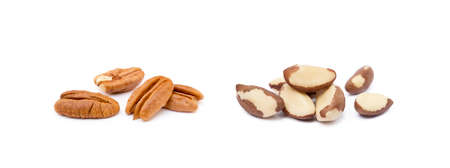 For nuts and pecan nuts isolated on a white backgroundの写真素材