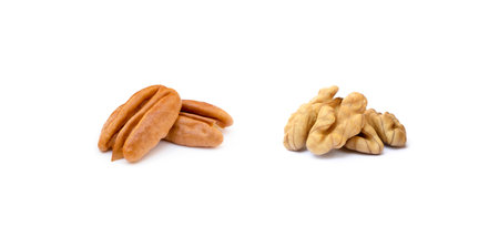 Walnuts and pecan nuts isolated with white backgroundの写真素材