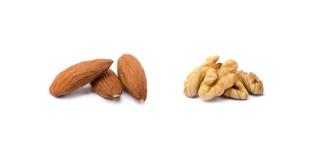 Walnuts and almond isolated with white backgroundの写真素材
