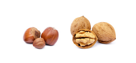 Pile of walnuts and hazelnuts isolated on white backgroundの写真素材