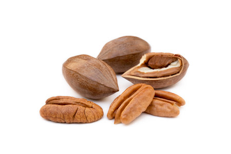 Fresh pecan nuts isolated on white backgroundの写真素材