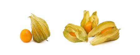 Healthy Cape Gooseberry (Physalis) isolated on white backgroundの写真素材