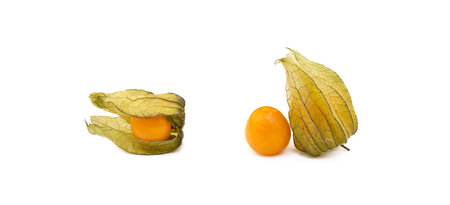 Healthy Cape Gooseberry (Physalis) isolated on white backgroundの写真素材