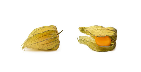Healthy Cape Gooseberry (Physalis) isolated on white backgroundの写真素材
