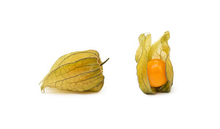 Healthy Cape Gooseberry (Physalis) isolated on white backgroundの写真素材