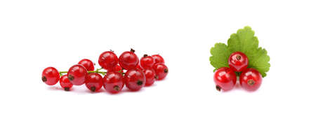Fresh red currant isolated on white backgroundの写真素材
