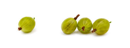 Fresh ripe gooseberries isolated on a white backgroundの写真素材