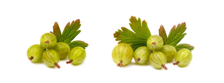 Fresh ripe gooseberries isolated on a white backgroundの写真素材
