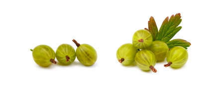 Fresh ripe gooseberries isolated on a white backgroundの写真素材