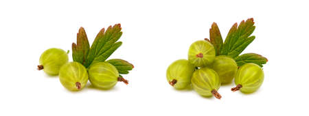 Fresh ripe gooseberries isolated on a white backgroundの写真素材
