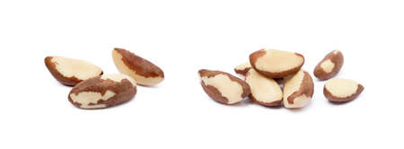 For nuts isolated on a white backgroundの写真素材