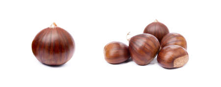 Chestnuts isolated on white backgroundの写真素材