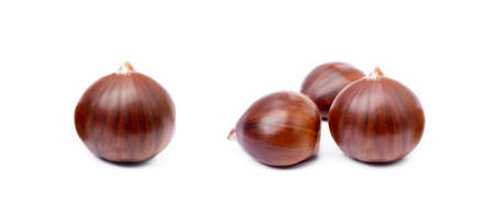 Chestnuts isolated on white backgroundの写真素材