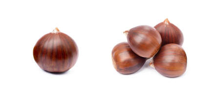 Chestnuts isolated on white backgroundの写真素材