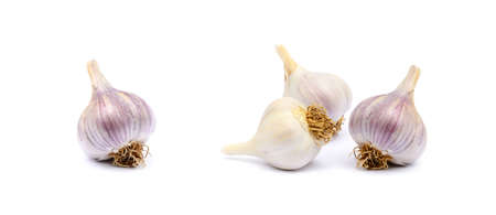 Healthy fresh garlic isolated on white backgroundの写真素材