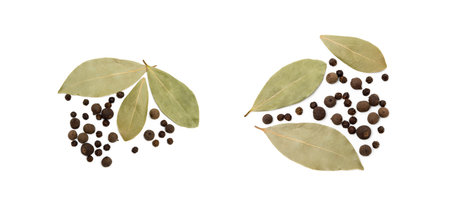 Bay leaf, allspice and pepper isolated on white backgroundの写真素材