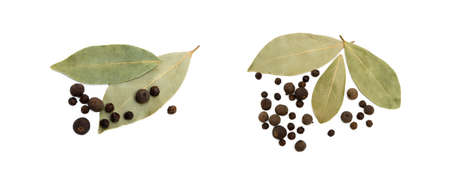 Bay leaf, allspice and pepper isolated on white backgroundの写真素材