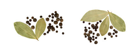 Bay leaf, allspice and pepper isolated on white backgroundの写真素材
