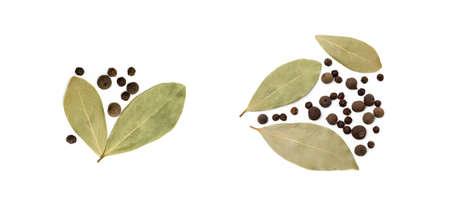 Bay leaf, allspice and pepper isolated on white backgroundの写真素材