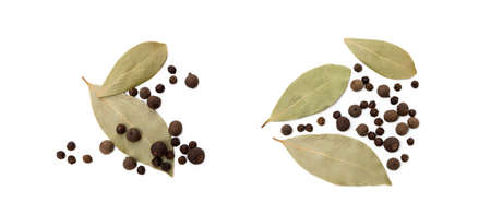 Bay leaf, allspice and pepper isolated on white backgroundの写真素材