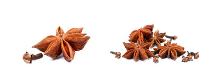Aromatic star anise and cloves isolated on white backgroundの写真素材