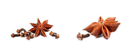 Aromatic star anise and cloves isolated on white backgroundの写真素材