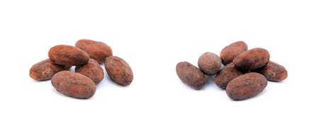 Roasted cacao beans isolated on white backgroundの写真素材