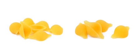 Pasta shells isolated with white backgroundの写真素材