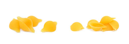 Pasta shells isolated with white backgroundの写真素材