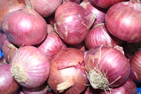My wallet is like an onion.when i open it,it makes me cry.A closeup view of an onion.A day time photography with Nikon on april 2020 from Abu Dhabi.のeditorial素材
