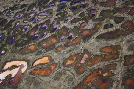 Aerial photos of arctic tundra wetlands for backgrounds and textures 