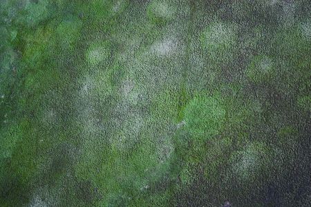 Aerial photos of arctic tundra wetlands for backgrounds and textures の写真素材
