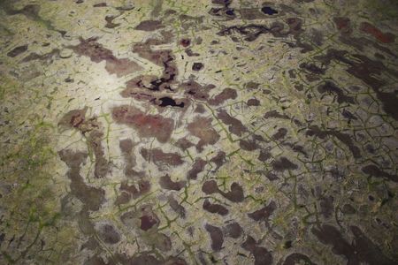 Aerial photos of arctic tundra wetlands for backgrounds and textures の写真素材